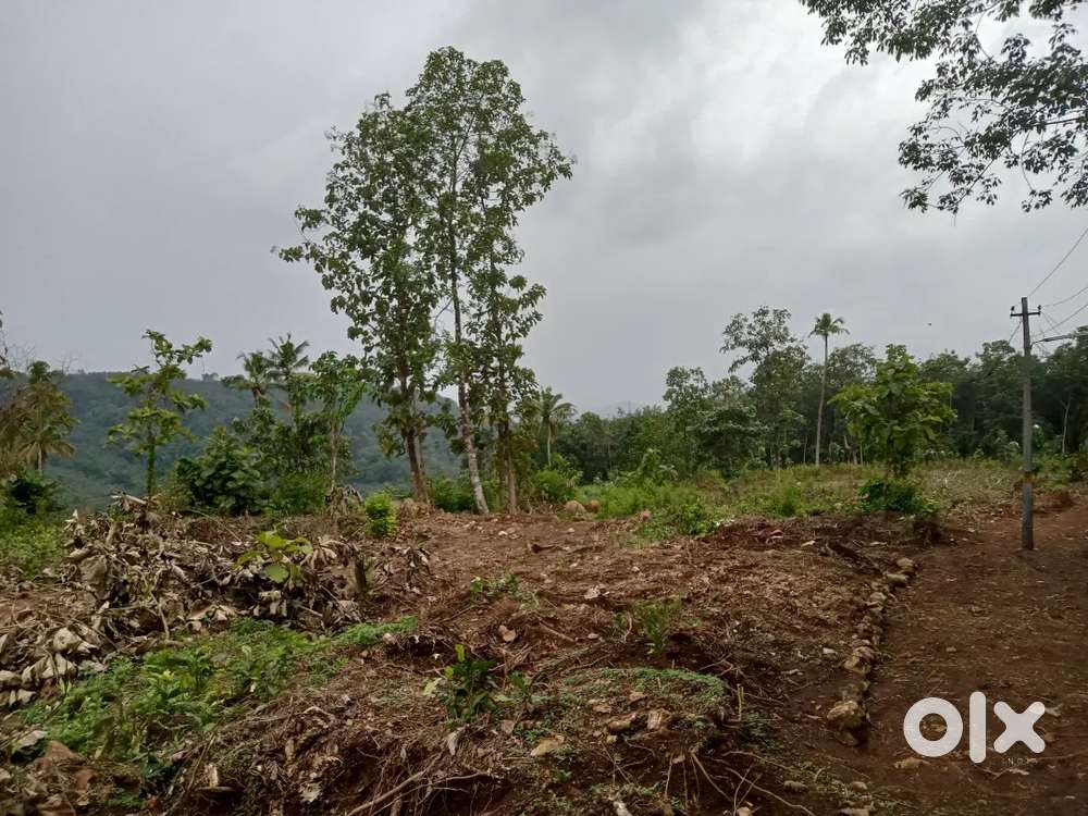 പത്തനംതിട്ട കുമ്പഴ മയിലാടുംപറ 50 സെന്റ്