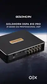 Goldhorn amplifier and dsp for sale for car