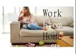 Work From Home Data Entry Job Part Time Work Offline Job