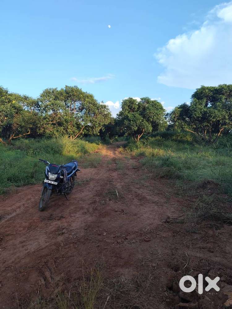 1 Acre Agricultural Land for Sale @ Burgula, Shadnagar  ₹95 Lakhs  N