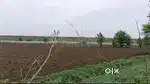 7-ACRE PRIME LAND FOR SALE**  SAMRUDDHI HIGHWAY, NAGPUR (WARDHA)