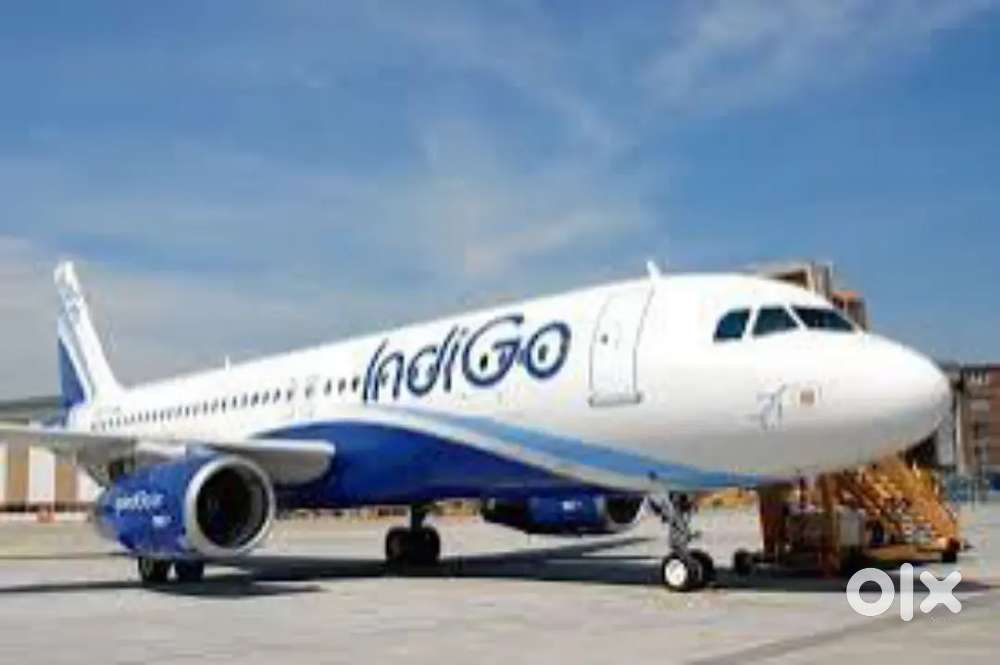 Apply For Ground Staff Jobs M/F both Candidates In Indigo Airlines