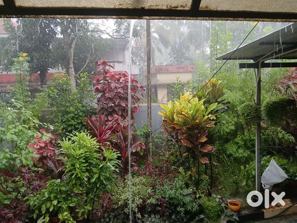 7 cent Empty plot of land near road to mannarashala temple