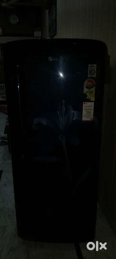 LG 235 Litre Refrigerator