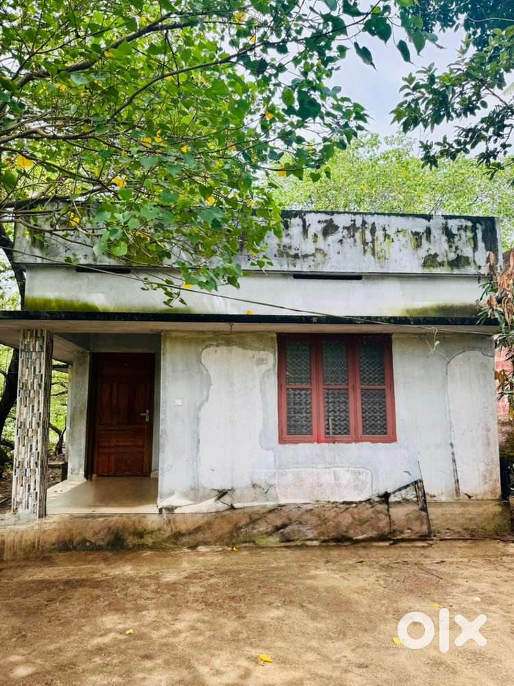 Small house in anjengo
