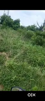 Orgent required