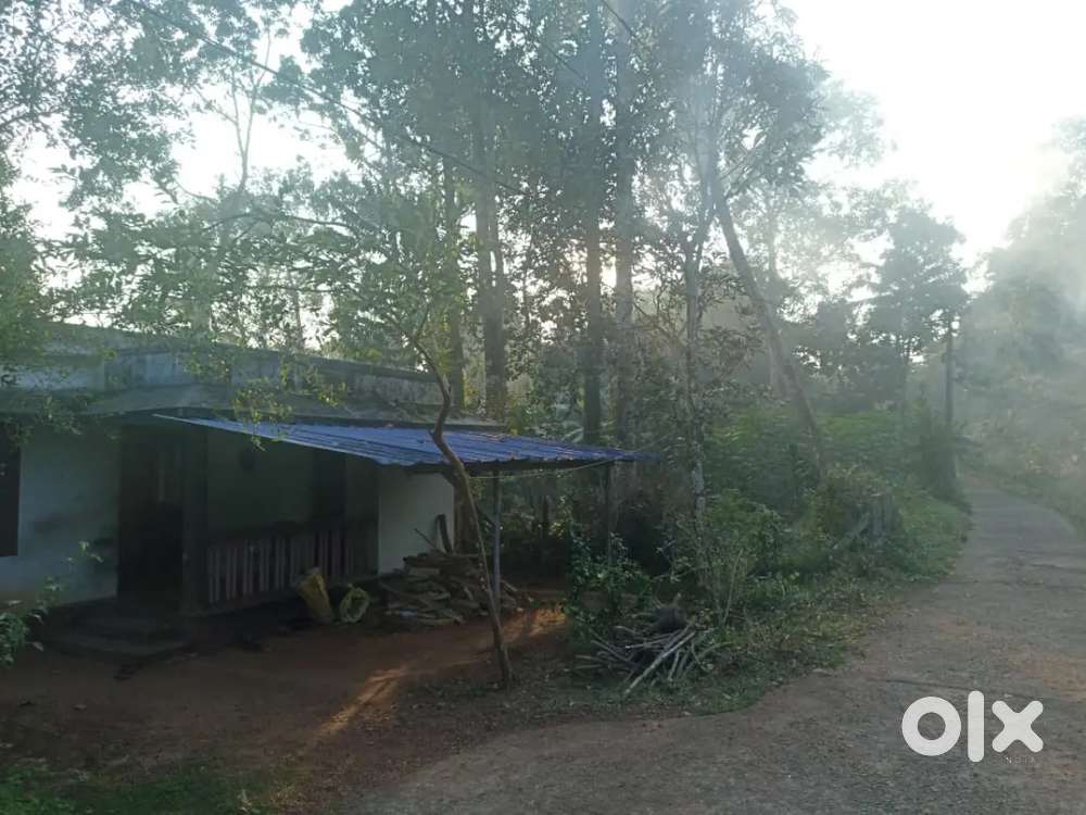 21send plot 1000sq veedu