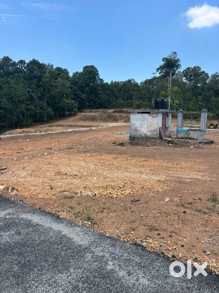 കടമ്പനാട് തുവയൂരിൽ പ്ലോട്ടുകളായി വസ്തു വിൽപനയ്ക്ക്. 10/8 /7 സെൻ്റ്