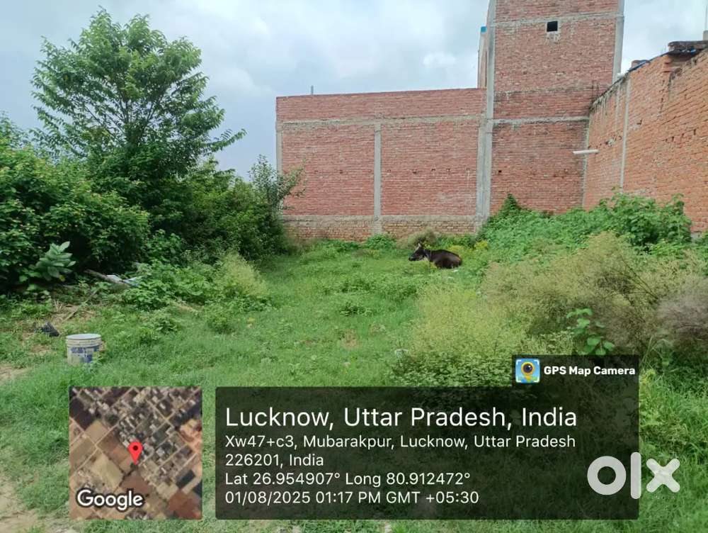 Chatta mil choraha se 1km par hai raitha rood par hai