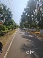 20 cent Plot at Pappinisseri Ikam Bhagam main Road
