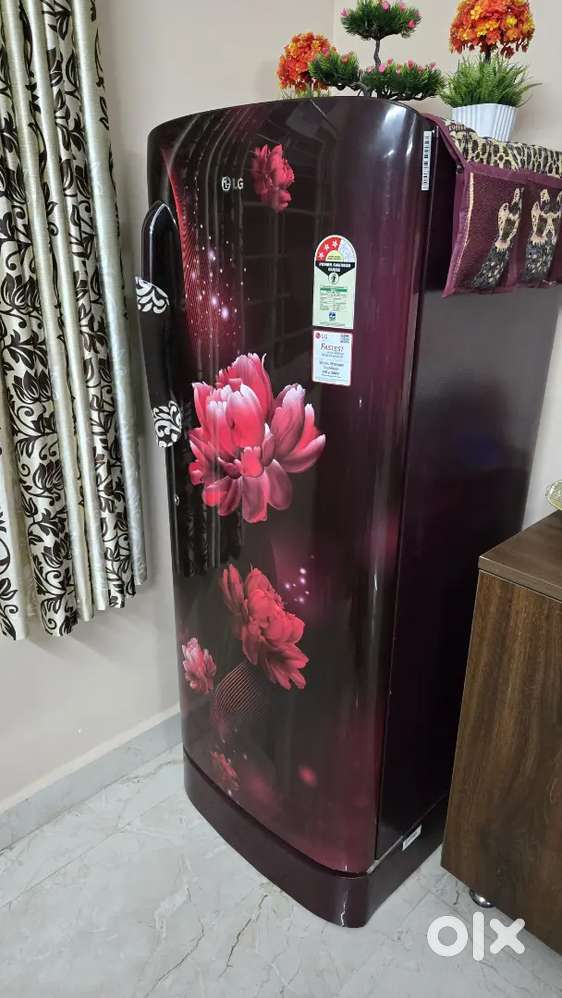 LG 235L single door