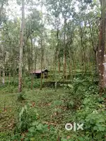 A property to sale