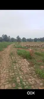 Very good looking
