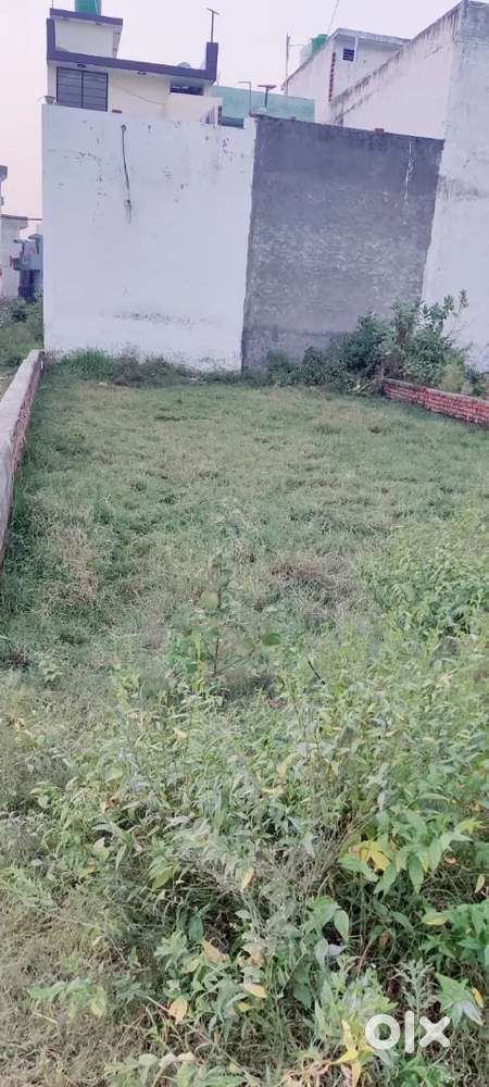 Sai enclave state bank colony