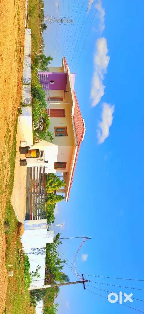 Teak tree farm land in kinathukadavu
