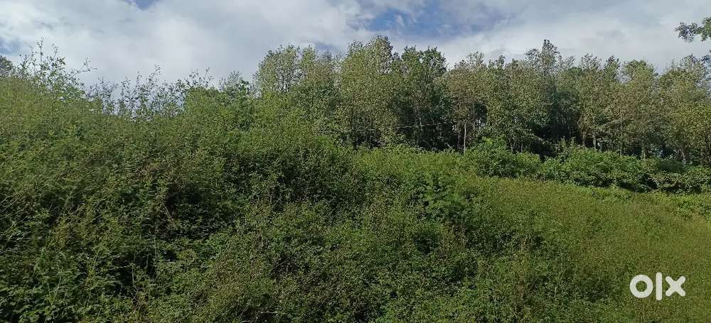 Mudigere Town area property for sale