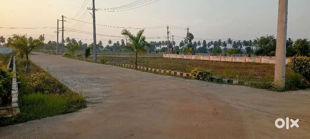 Plots for Sale @ Panduru