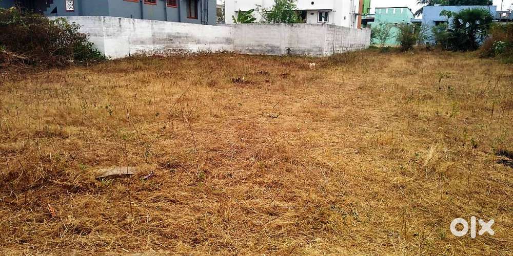 Residential land 11.5 cents - For sale