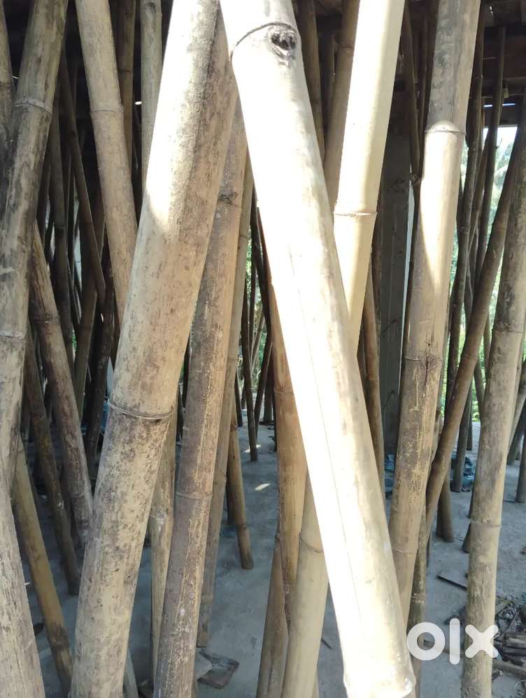 900 square feet area.. ground floor