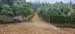 5 CENT RESIDENTIAL PLOT FOR SALE