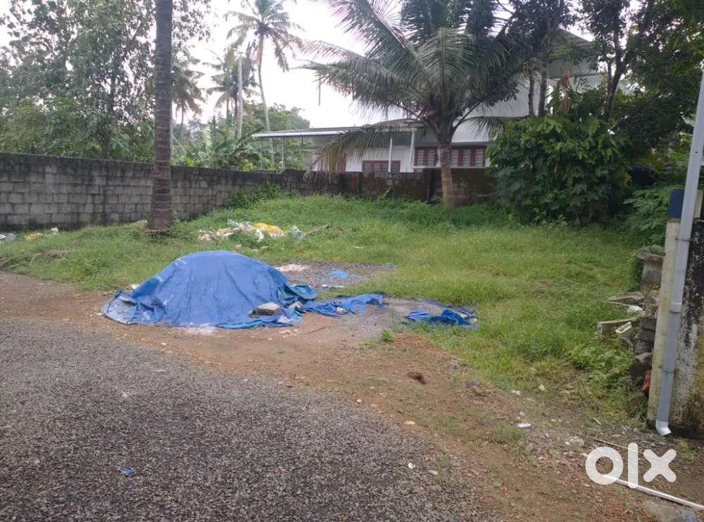 Aluva thottumugham 4cent original land VIP area near Rajagiri hospital