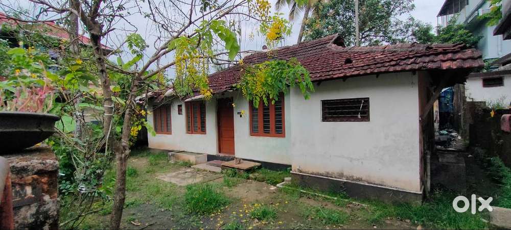 4.5 cent land with small house in Chambakkara, near Thuruthi temple