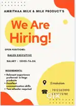 Sales Executive