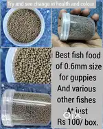 Fish food for regular feed