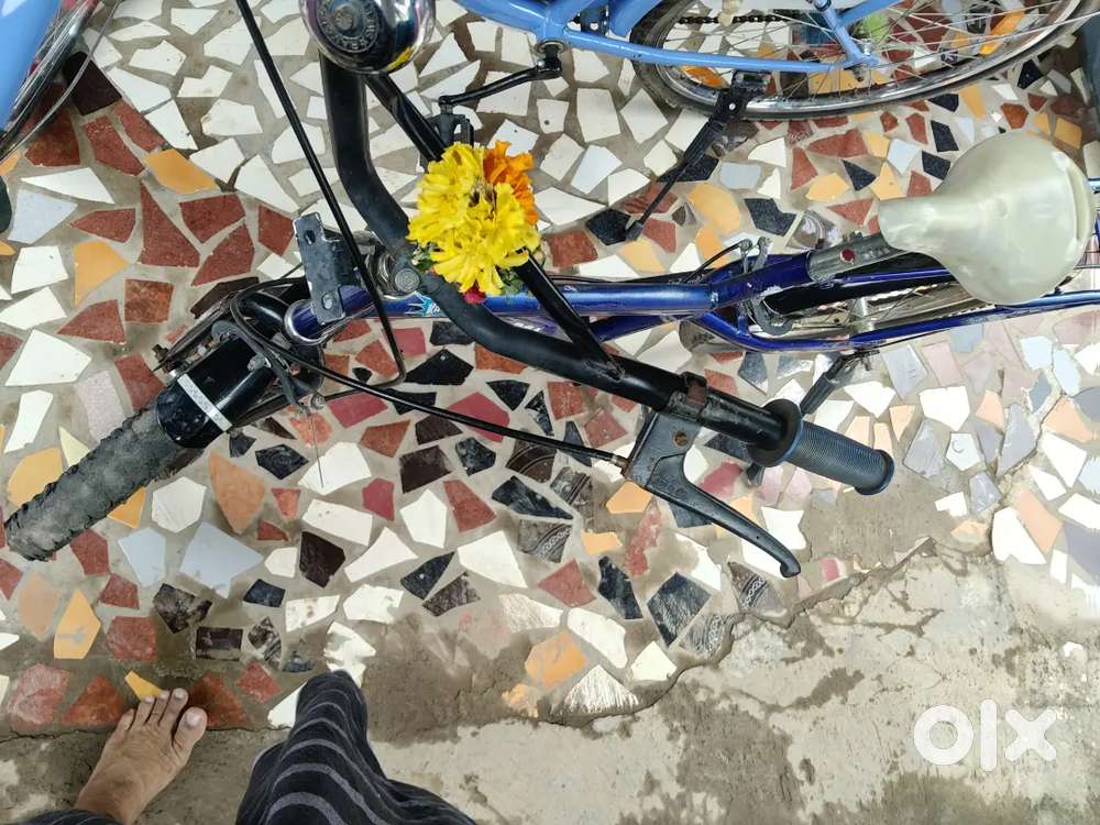 Cycle small