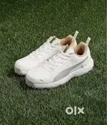 Puma cricket shoe