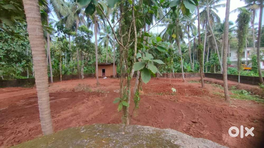 25 CENT ROAD SIDE LAND FOR SALE SUITABLE FOR RESIDENTIAL,COMMERCIAL