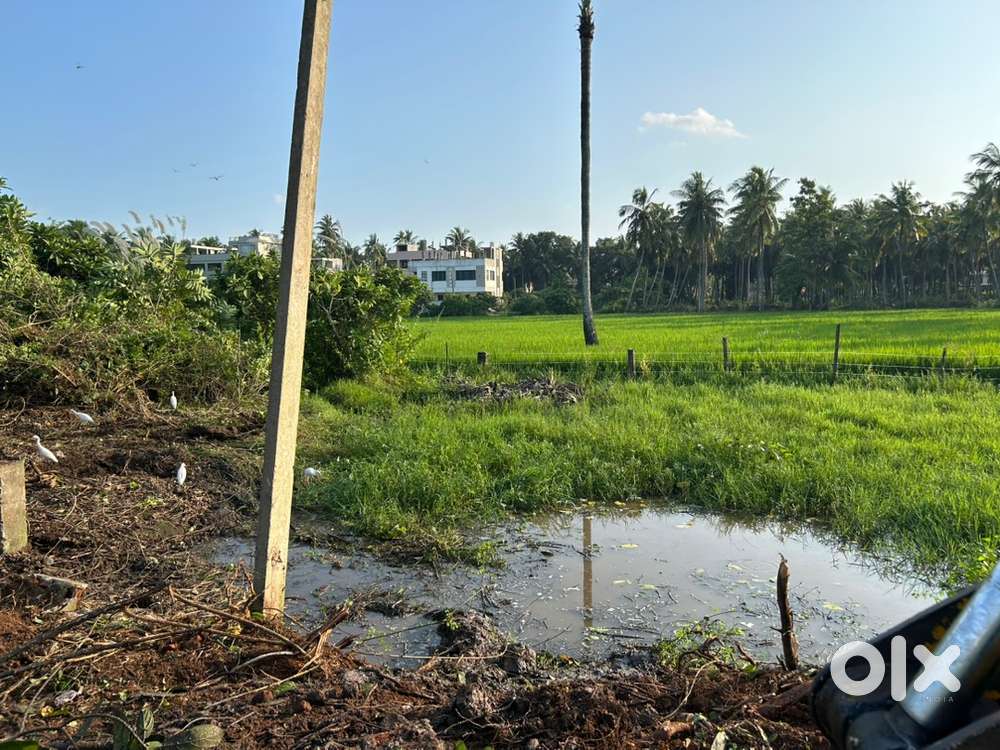Black bridge open land for home construction