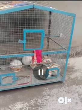 Bird cage in good condition 3X3 size