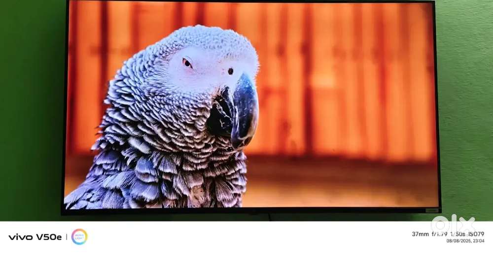 Sony 55inch google LED Good condition