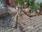 Badhiya cycle hai 1 year purani hai