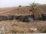 23-ACRE ROAD-TOUCH AGRICULTURAL LAND WITH FARMHOUSE & IRRIGATION