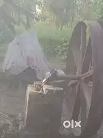 गन्ना कोल्हू एक नंबर क्वॉलिटी का है