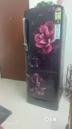 Single door fridge with vibrant colour