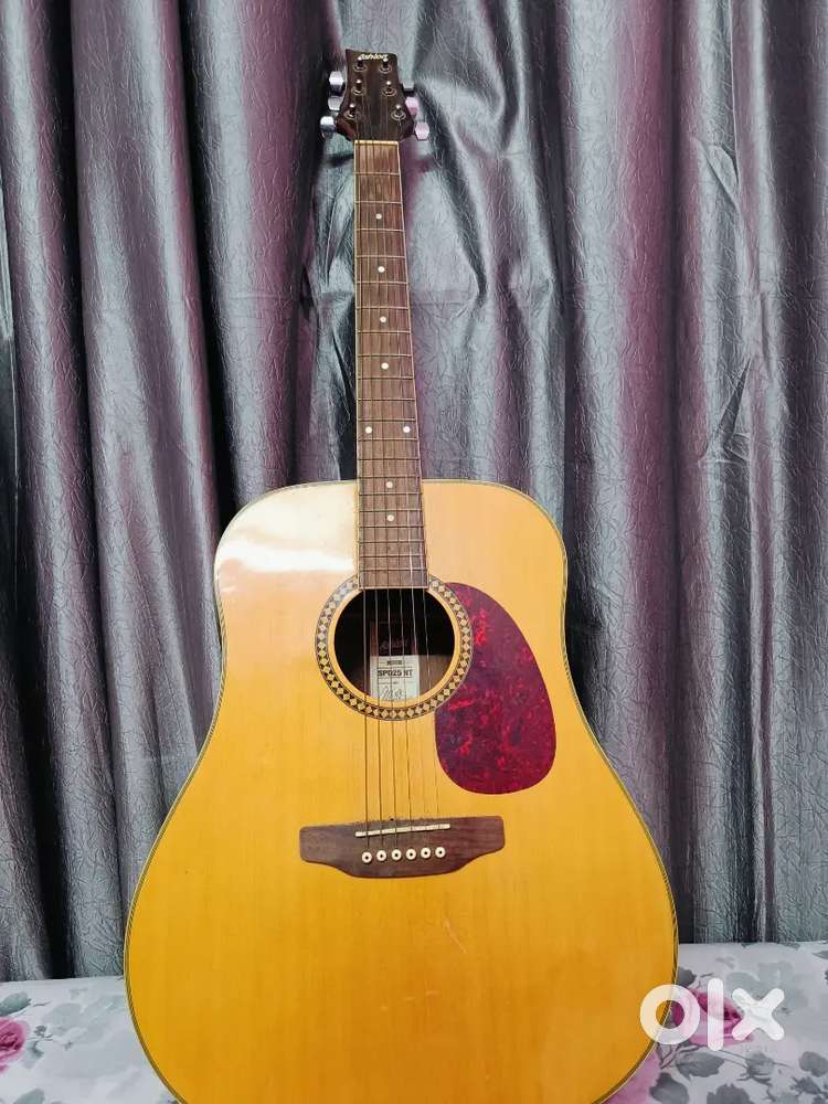 Ashton guitar new condition