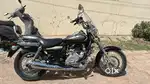 Mint Codition Bajaj Avenger 220