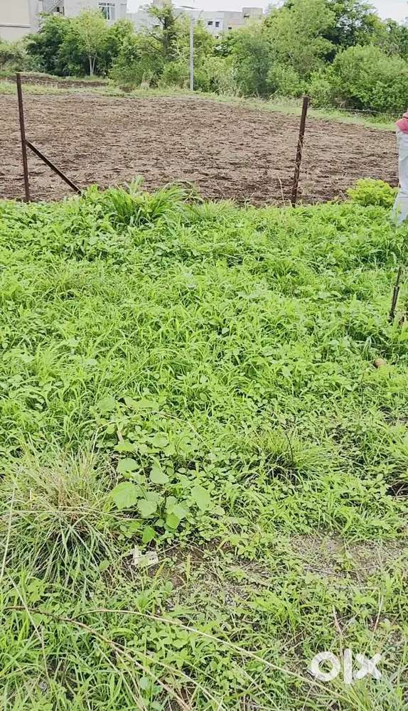 Plot for sale