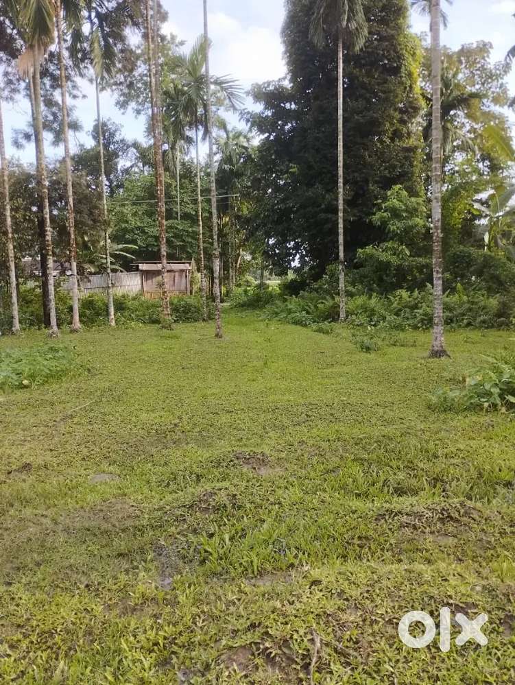 Near silapathar