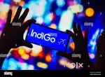 APPLY URGENT AIRPORT JOBS INDIGO AIRLINES GROUND STAFF & CABIN CREW