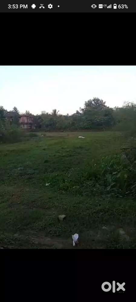 Land for sale at padampukhri