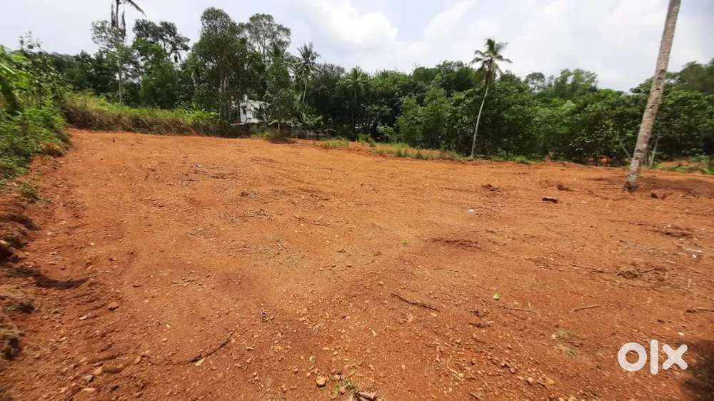 32 cent sq Plot ,1 ലക്ഷം സെൻ്റിന് , ഉടൻ വിൽപ്പനക്ക്.