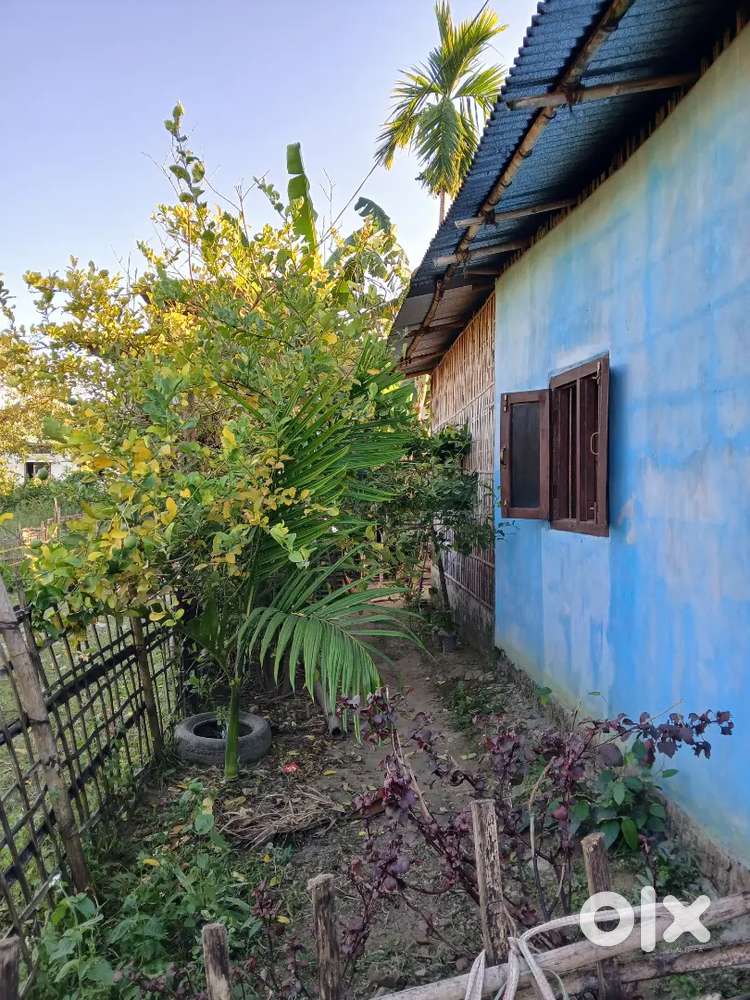 1 kotha 5 Luca plot sell kora hbo