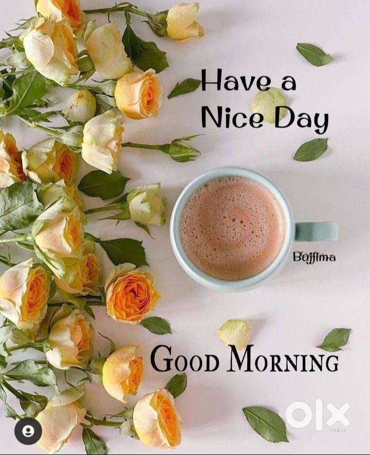 back end billing accounting customer service