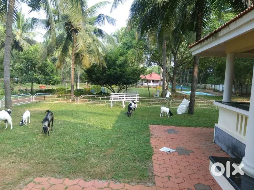 Well located plot for sale from 7 cent