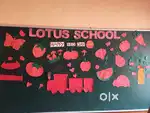 Social teacher