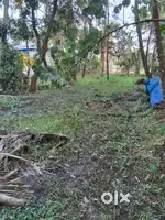 26 Cent Original Land for Sale – Waterfront Kadamakkudy Road Frontage